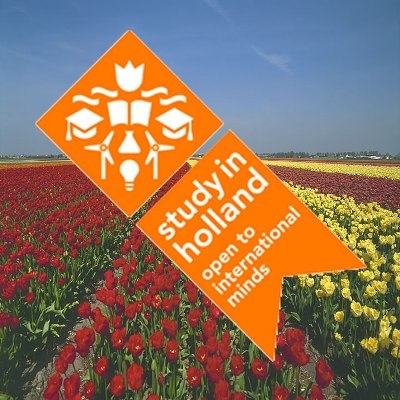 Статистика за броят международни студенти в Холандия