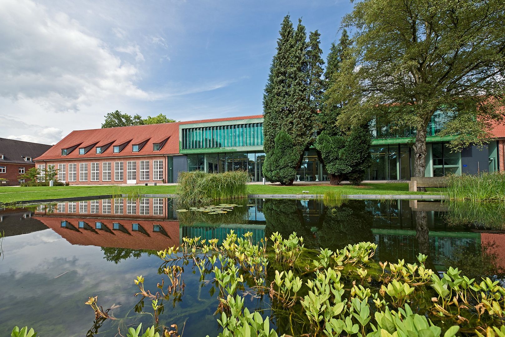 Защо да изберете Constructor University – водещ избор за международно обучение в Германия