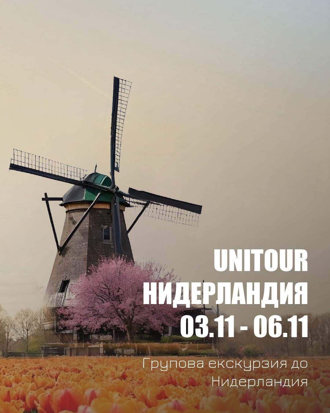 UniTour Нидерландия 2026: Виж бъдещия си университет отвътре