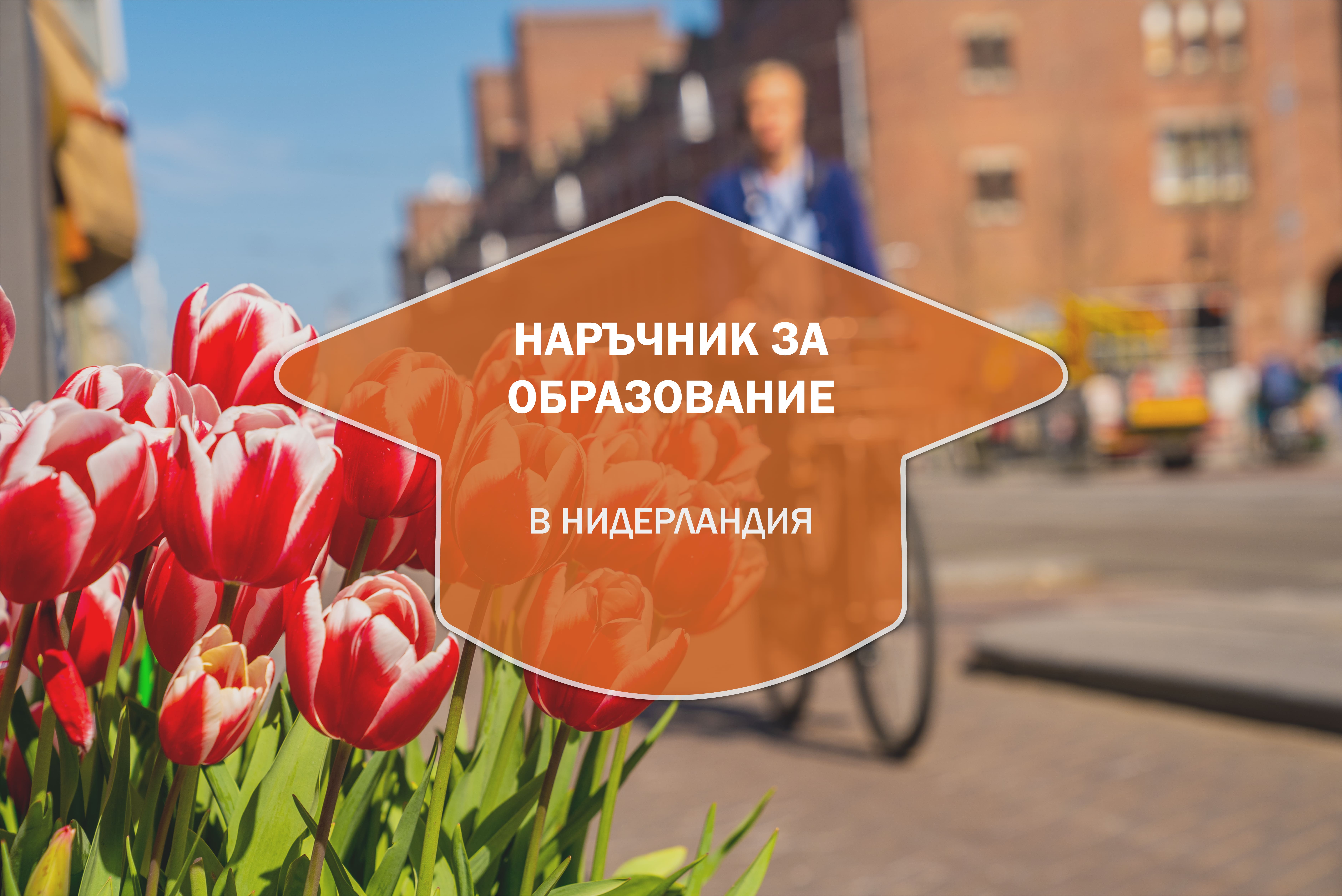 Наръчник за образованието в Нидерландия
