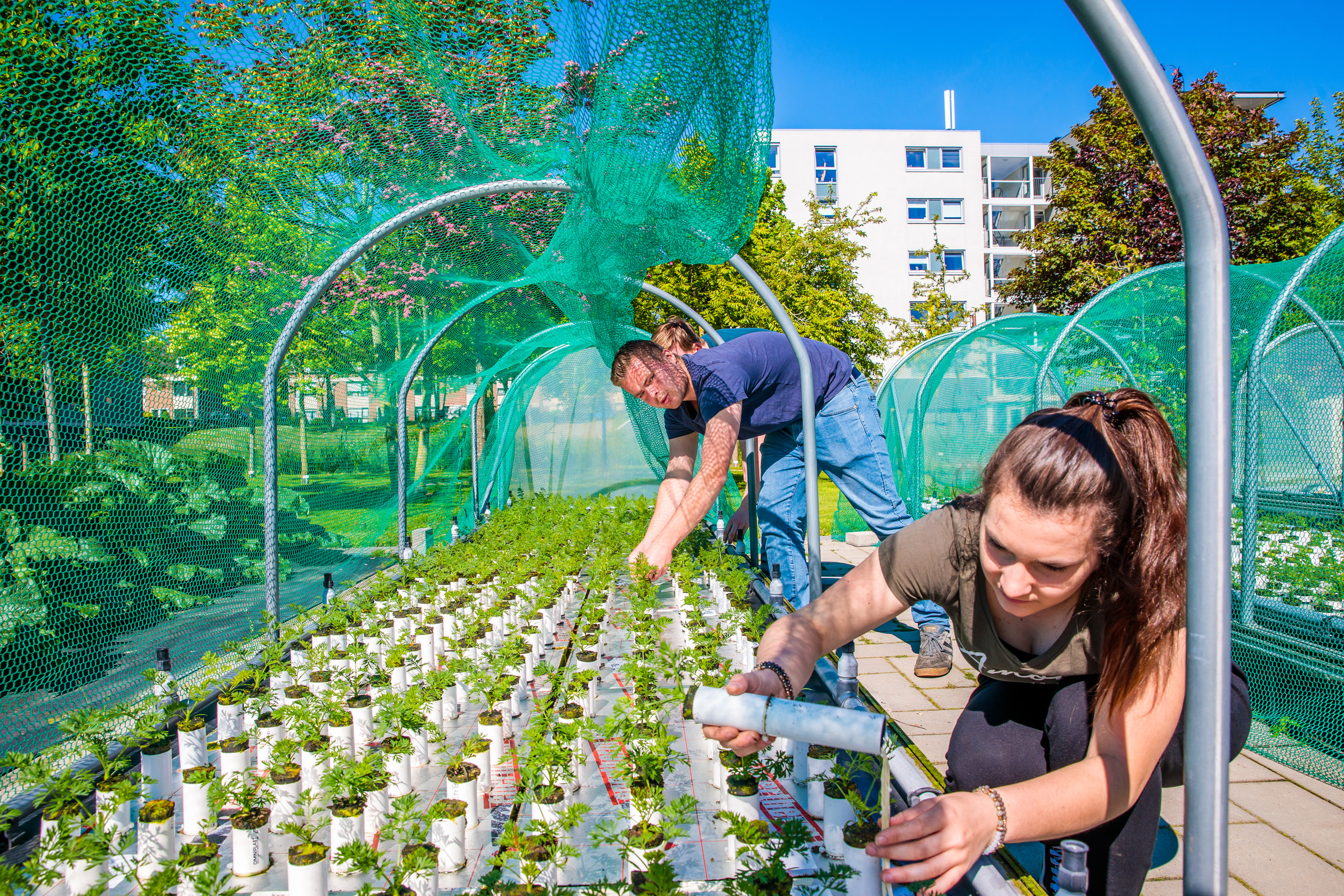 Какво учат студентите в програмата по Horticulture and Business Management?