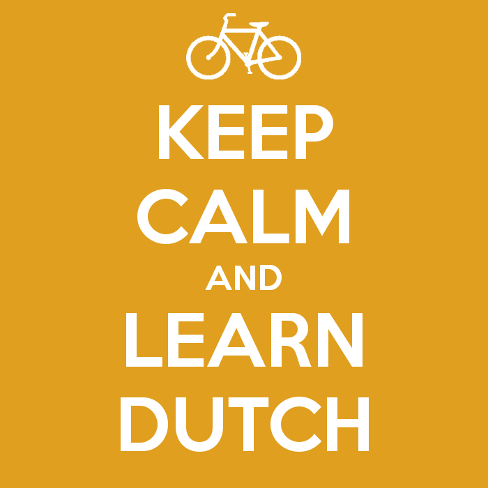 Курс по нидерландски език