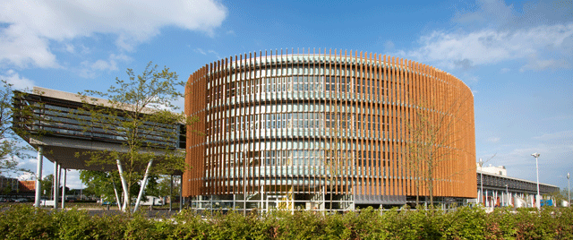 Wittenborg University of Applied Sciences, Нидерландия