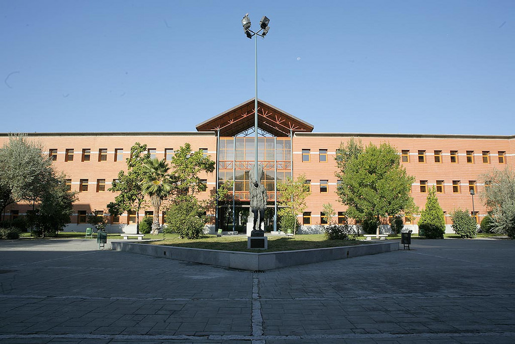 Rey Juan Carlos University