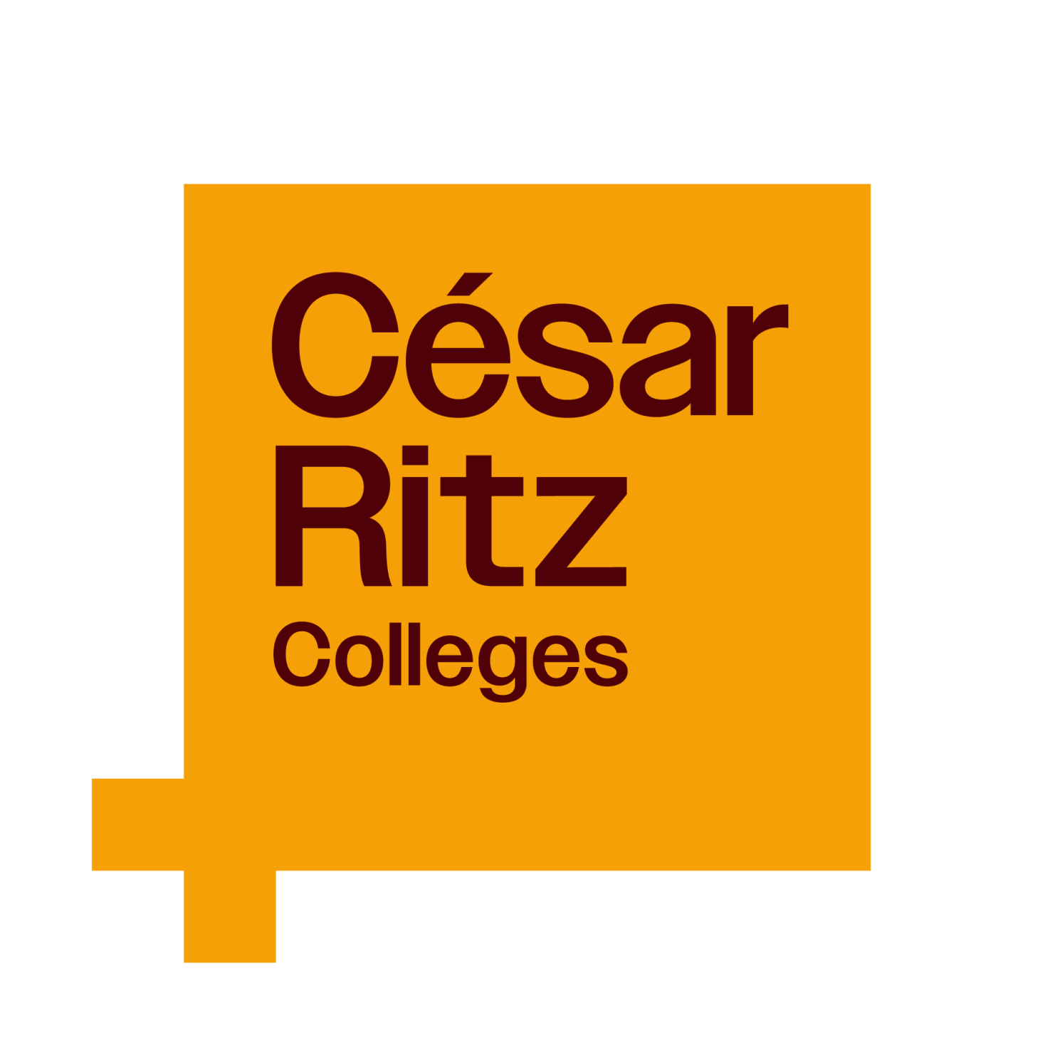Cesar Ritz Colleges logo